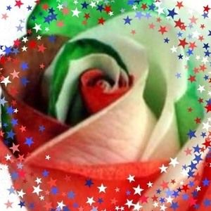 Meet your Posher, Patty